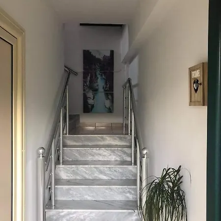 The Olive View By Ceni,