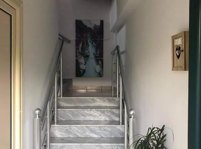 The Olive View By Ceni,